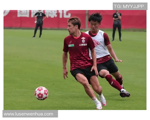 全球最佳足球明星射门技巧排名揭晓谁是射门之王 全球最佳足球明星射门技巧排名揭晓谁是射门之王