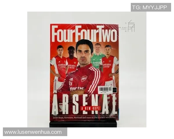 俄罗斯足球明星的辉煌历程与成就解析