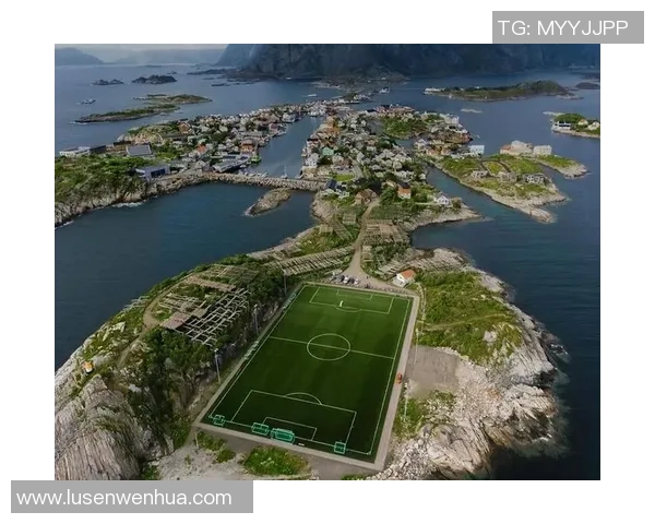 啄木鸟足球明星:探索绿茵场上的传奇与激情之旅 啄木鸟足球明星:探索绿茵场上的传奇与激情之旅