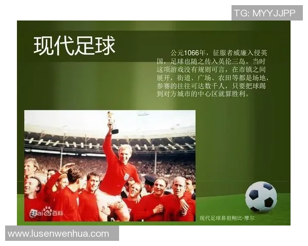 足球明星在推动全球足球发展与文化传播中的关键作用与影响分析