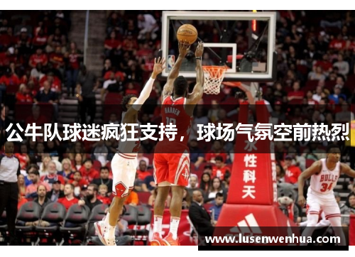 公牛队球迷疯狂支持，球场气氛空前热烈