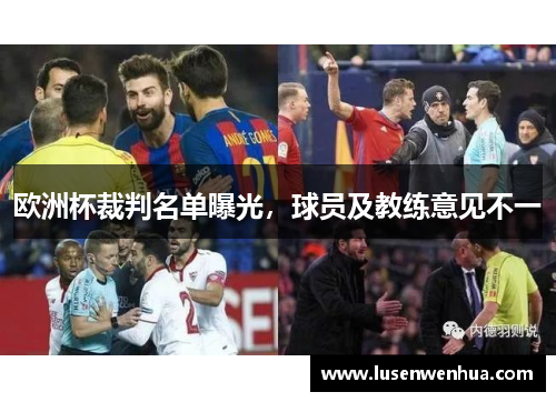 欧洲杯裁判名单曝光，球员及教练意见不一