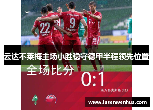 云达不莱梅主场小胜稳守德甲半程领先位置