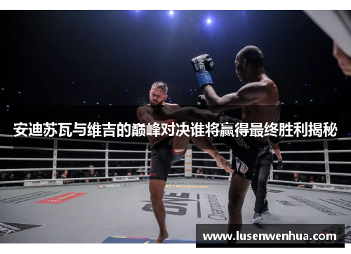 安迪苏瓦与维吉的巅峰对决谁将赢得最终胜利揭秘